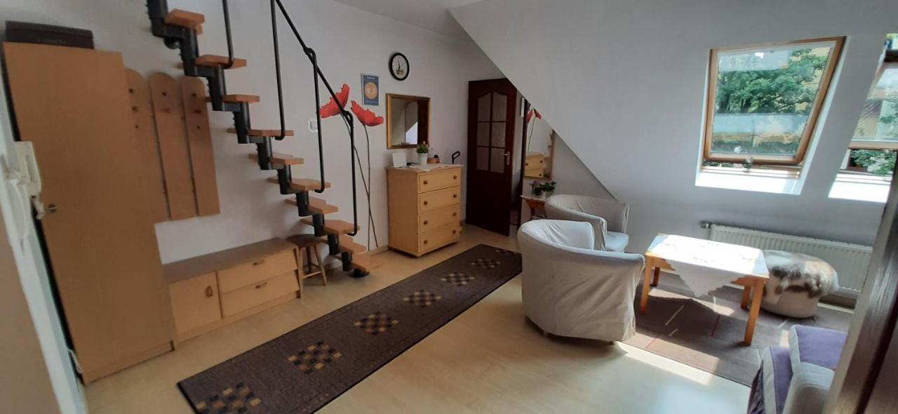 זקופאנה Leonia Apartments מראה חיצוני תמונה